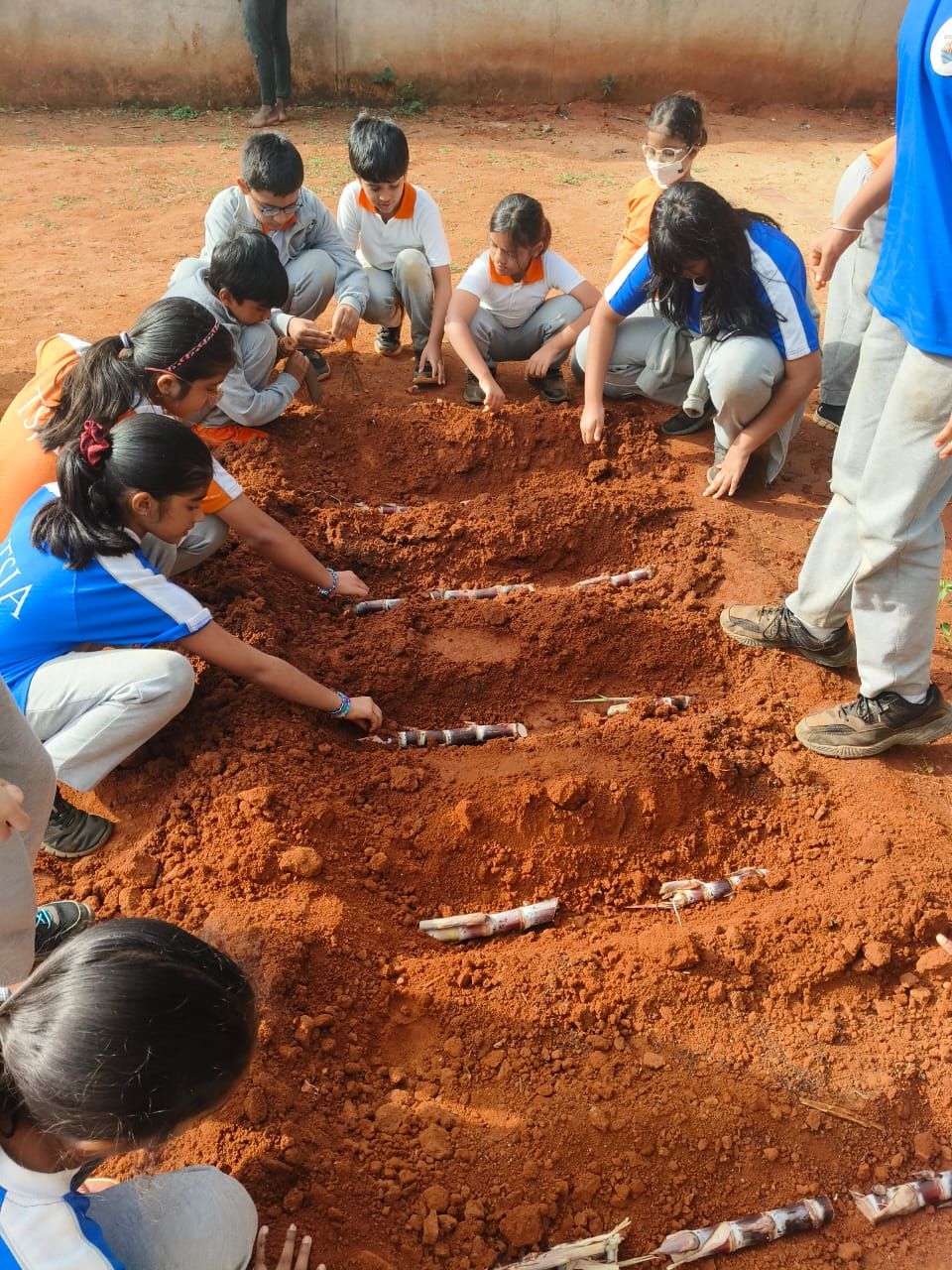 Copy of WhatsApp Image 2026-03-16 at 8.23.11 PM.jpeg